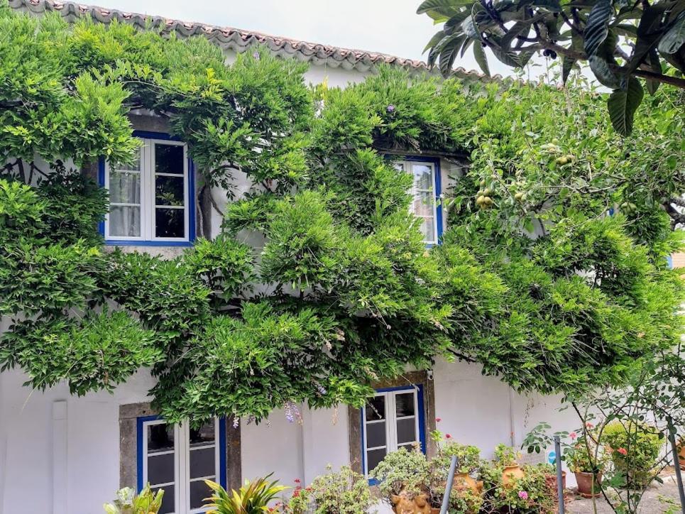 Vila Casa Do Sobral Obidos Exterior photo